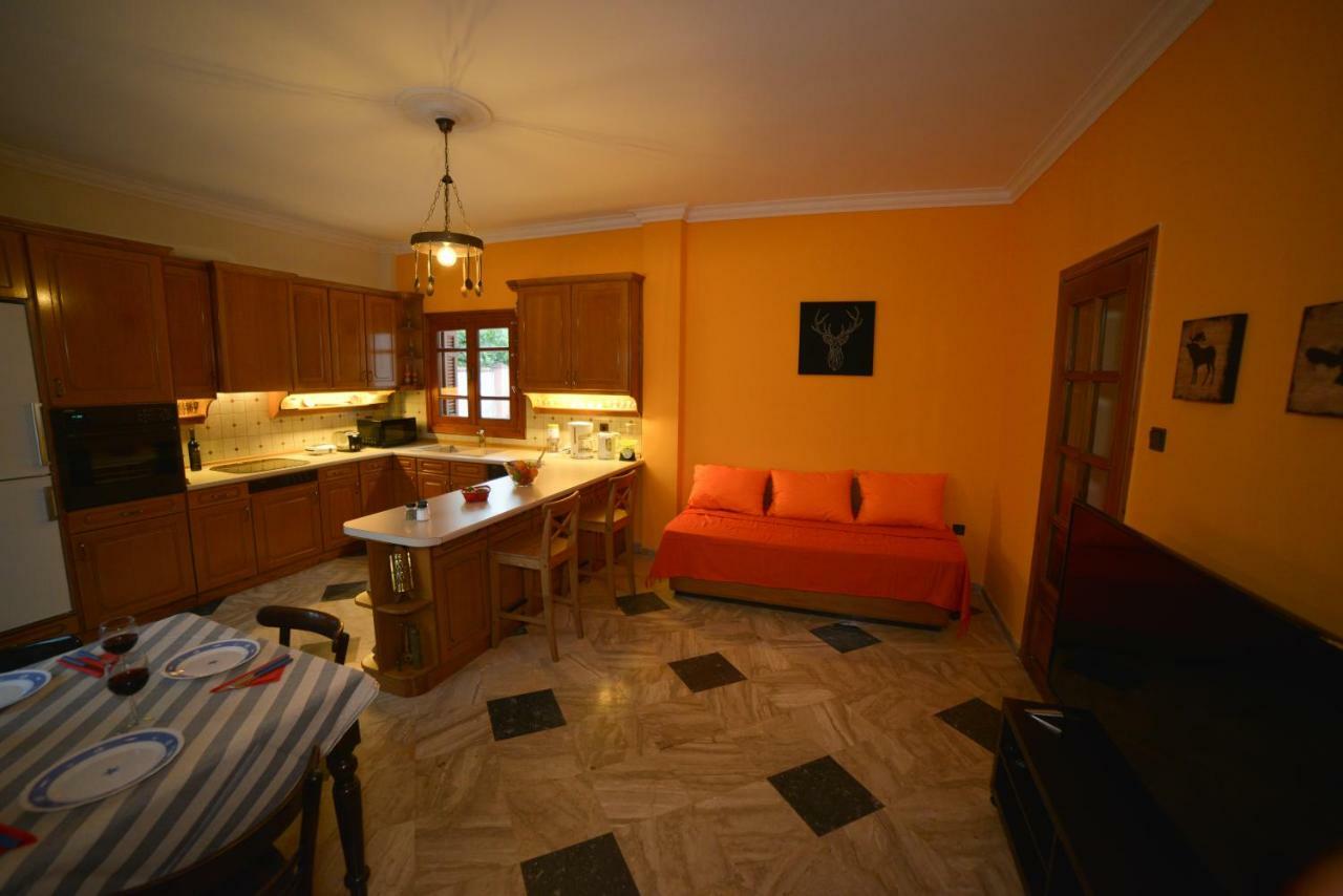My Home In Olympus Pyrgetos-Larisis Exterior photo